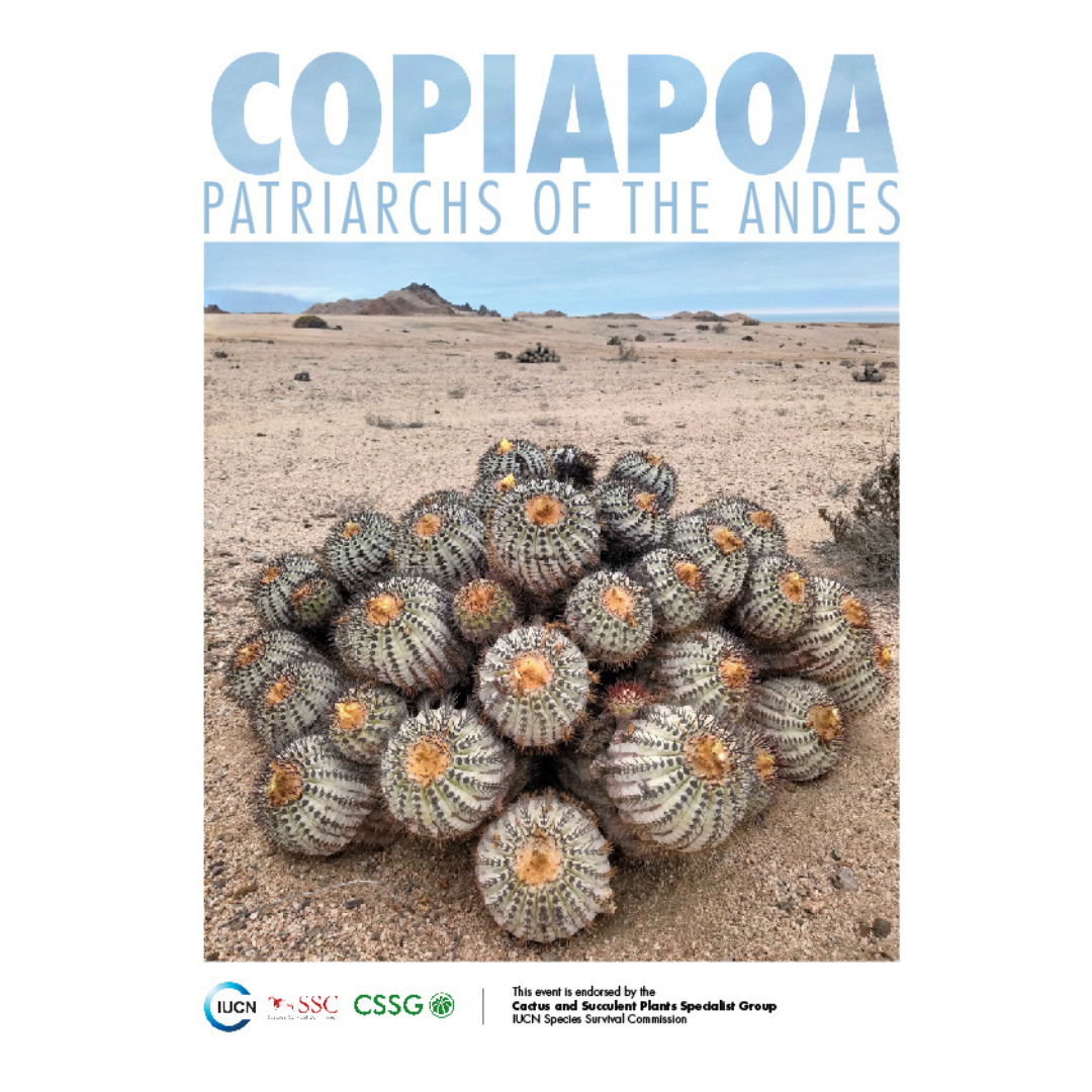 Flyer for the Copiapoa, Patriarchs of the Andes event.