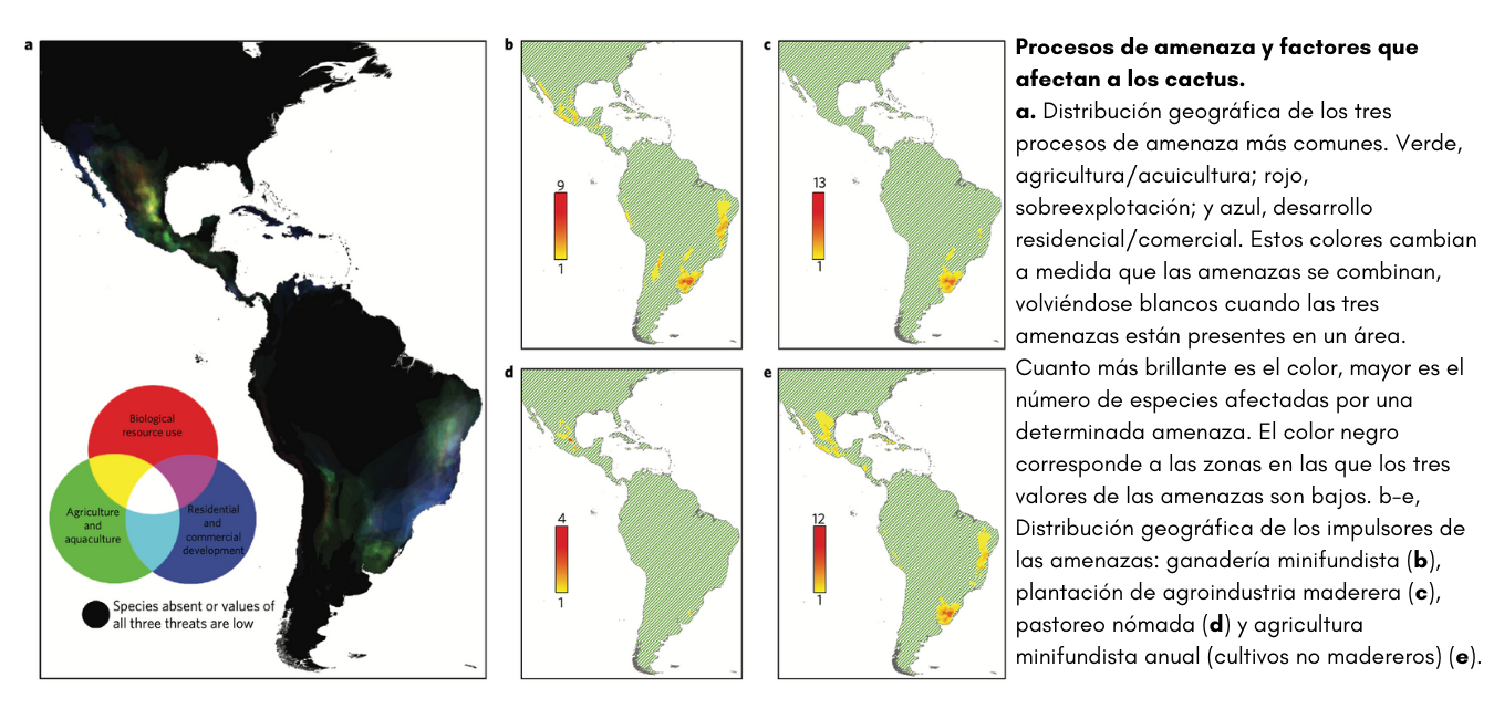 Mapa demonstrando los procesos de amenaza y factores que impactan a las cactáceas
